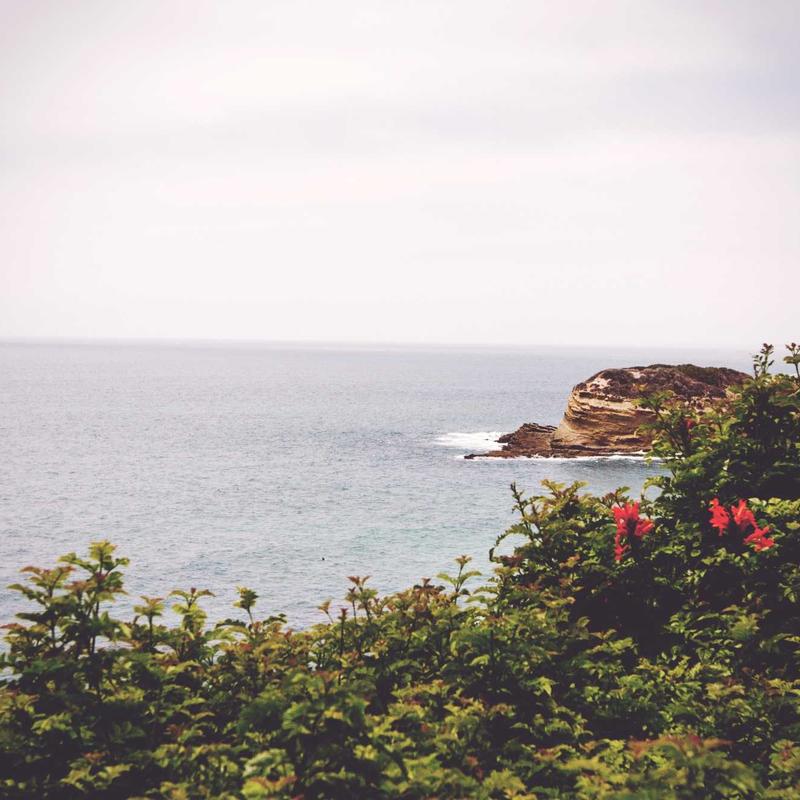 LIC-SOFT